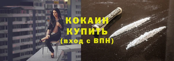 ешки Гусев