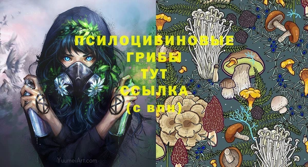 ешки Гусев