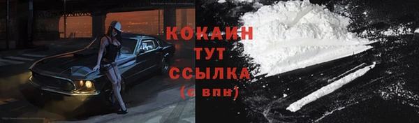 ешки Гусев