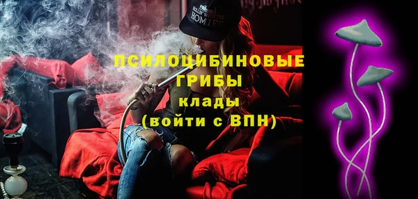 ешки Гусев