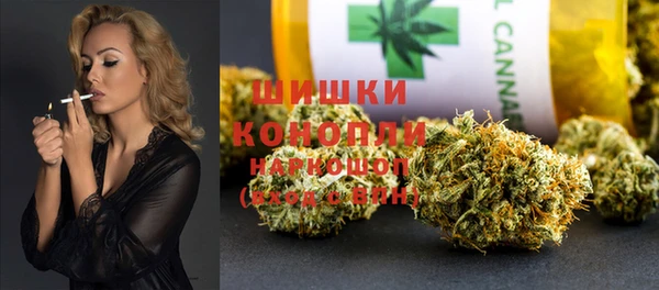 ешки Гусев