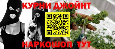 сатива Кулебаки