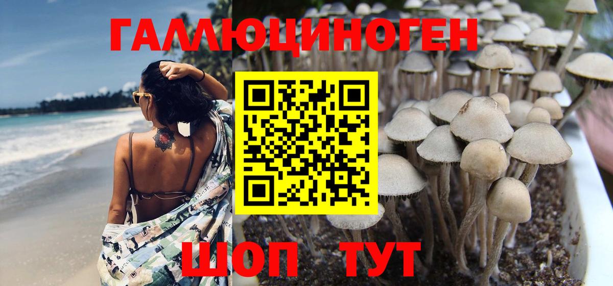 Кемерово  Галлюциногенные грибы прущие грибы  даркнет сайт  Вход с VPN 