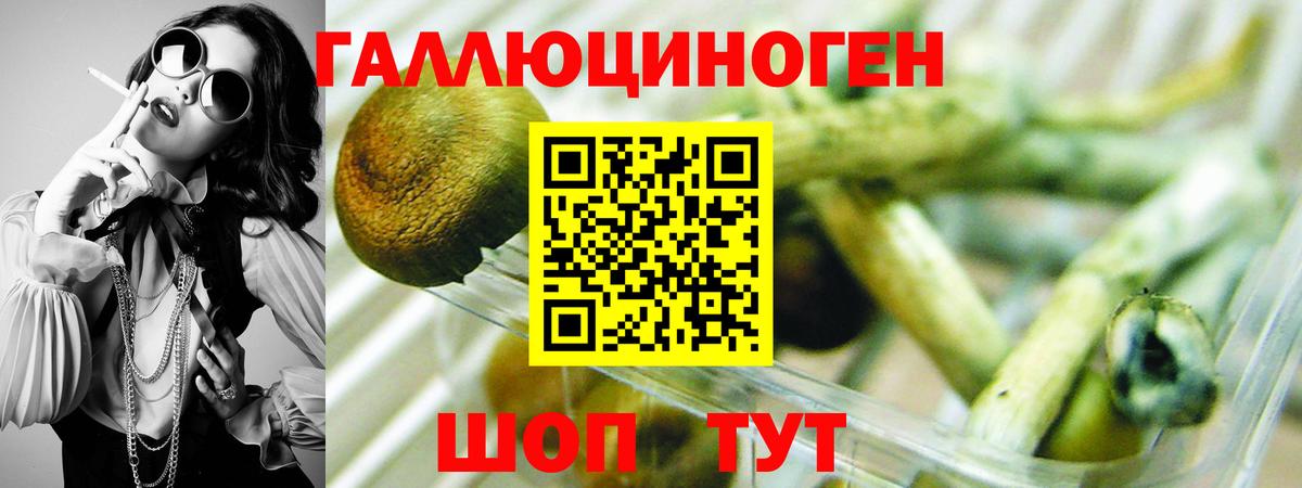 Псилоцибиновые грибы MAGIC MUSHROOMS Кемерово