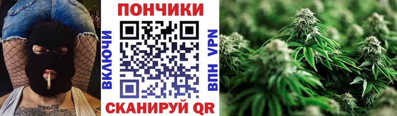 Бошки Шишки тримм  где купить наркоту  Кемерово 